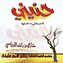 Mishary Rashid Alafasy
